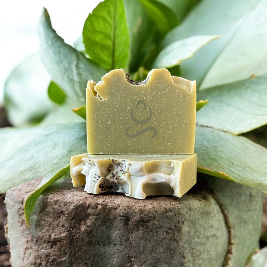 Aloe Spearmint