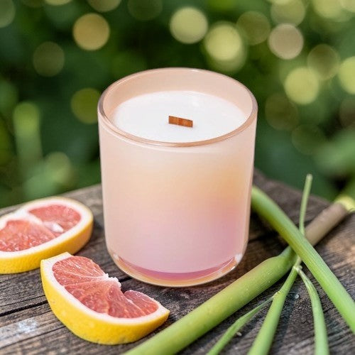 Sunlit Lemongrass